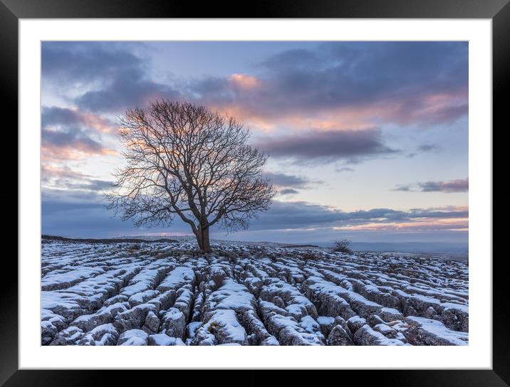 Sunrise at the Lone Tree at Malham Framed Mounted Print by Tony Keogh