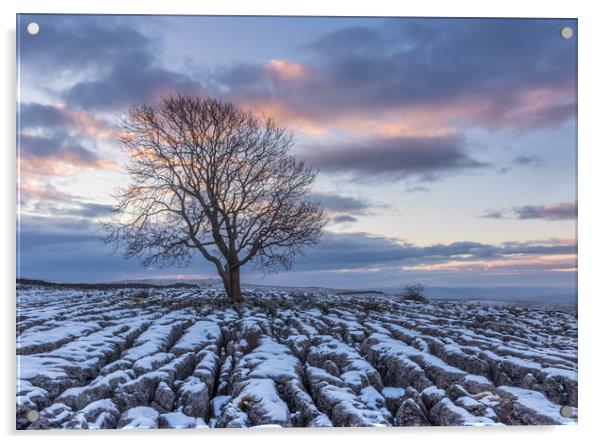 Sunrise at the Lone Tree at Malham Acrylic by Tony Keogh