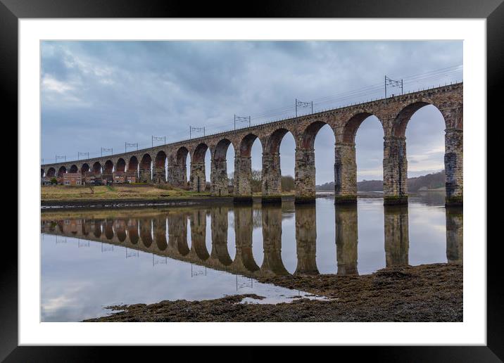 Berwick-upon-Tweed Railway Viaduct Framed Mounted Print by Dave Collins