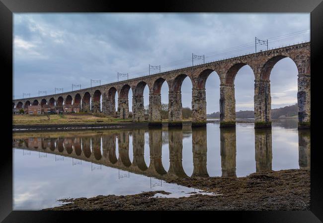 Berwick-upon-Tweed Railway Viaduct Framed Print by Dave Collins