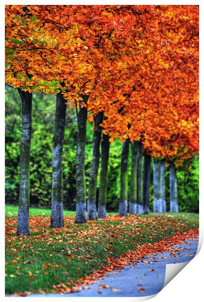 Autumn Prague Print by Adam Lucas