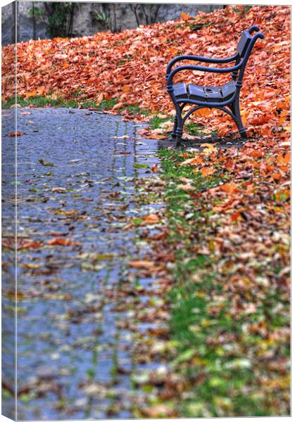 A Lonely Seat Canvas Print by Adam Lucas