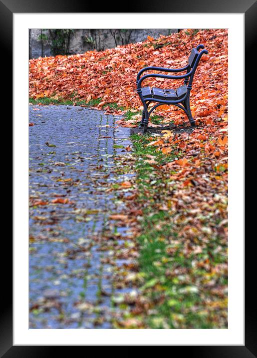 A Lonely Seat Framed Mounted Print by Adam Lucas