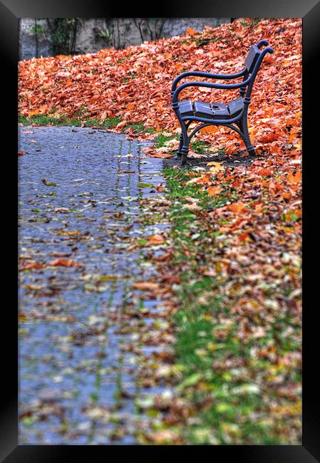 A Lonely Seat Framed Print by Adam Lucas