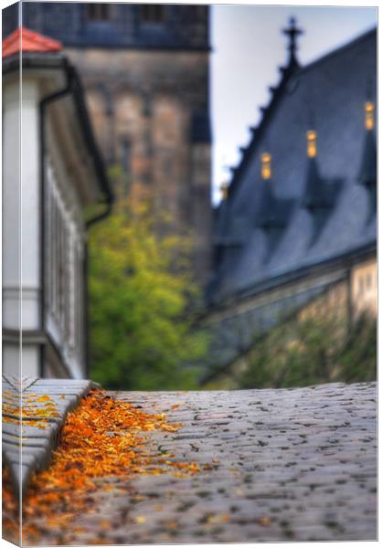 Fall on the Kerb Canvas Print by Adam Lucas