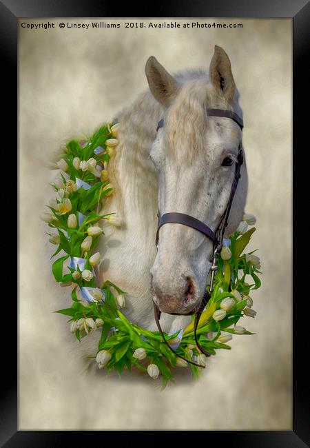 Horse 1 Framed Print by Linsey Williams