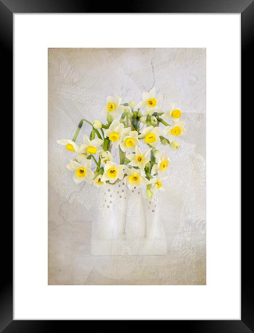 Spring Daffs Framed Print by Jacky Parker