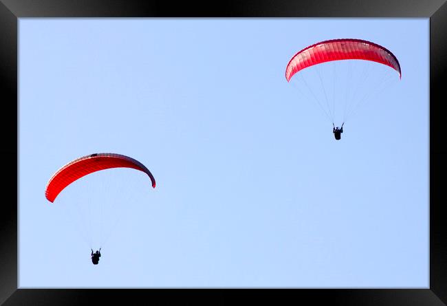 Paragliders Framed Print by Darren Burroughs