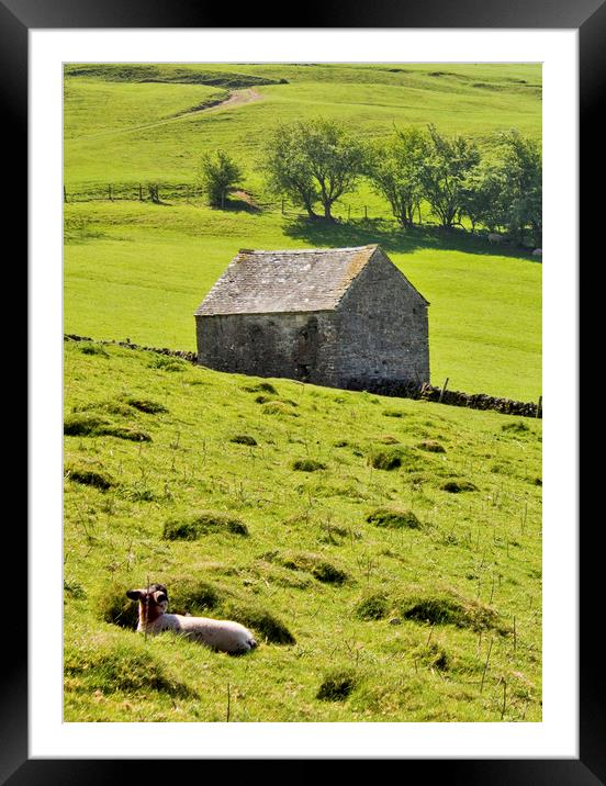 Lazy Day In The Peak District Framed Mounted Print by Darren Burroughs