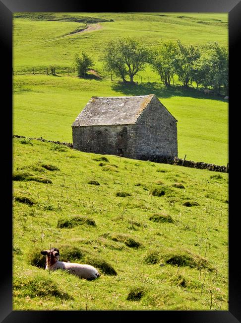 Lazy Day In The Peak District Framed Print by Darren Burroughs