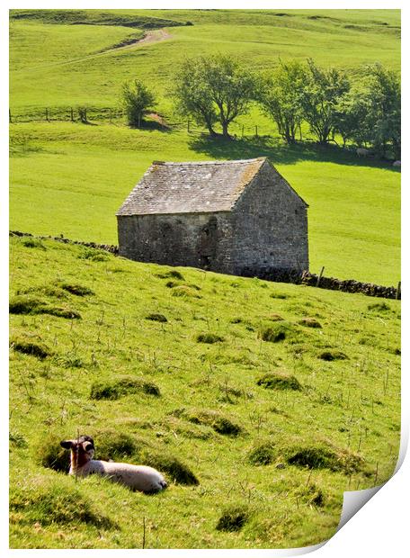 Lazy Day In The Peak District Print by Darren Burroughs