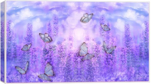 butterflies and flowers Canvas Print by sue davies