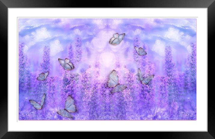 butterflies and flowers Framed Mounted Print by sue davies