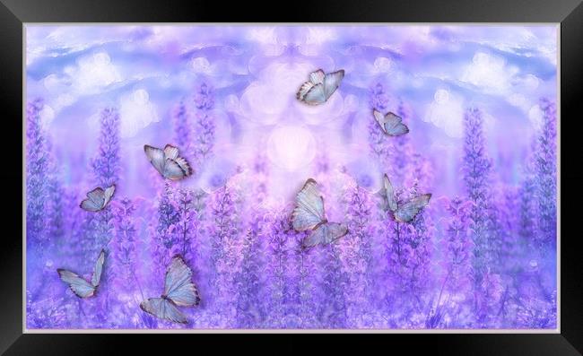 butterflies and flowers Framed Print by sue davies