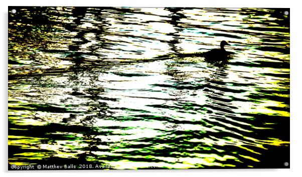      Duck on a Gold Lake                       Acrylic by Matthew Balls