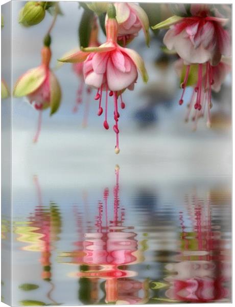 floral refections Canvas Print by sue davies