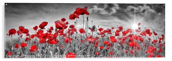 Idyllic Field of Poppies with Sun | Panorama Acrylic by Melanie Viola