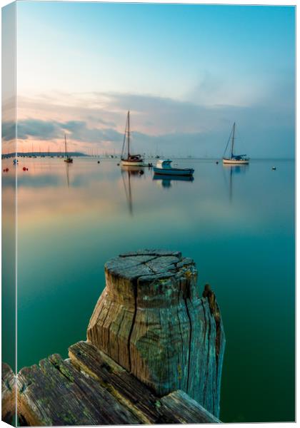 Stand tall Canvas Print by Lee Saunders