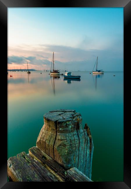 Stand tall Framed Print by Lee Saunders