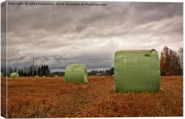 Hay Bales Wrapped In Plastic On The Autumn Fields Canvas Print by Jukka Heinovirta