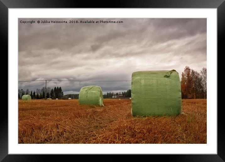 Hay Bales Wrapped In Plastic On The Autumn Fields Framed Mounted Print by Jukka Heinovirta