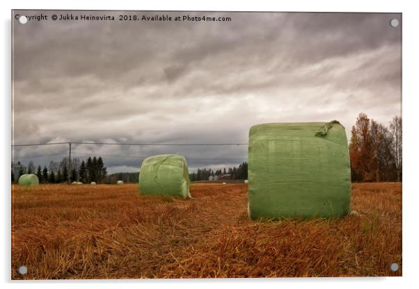 Hay Bales Wrapped In Plastic On The Autumn Fields Acrylic by Jukka Heinovirta
