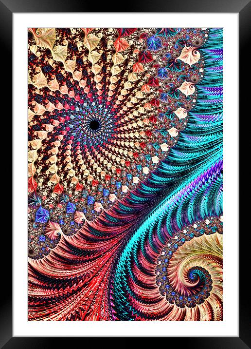Vivid Mix Framed Mounted Print by Steve Purnell