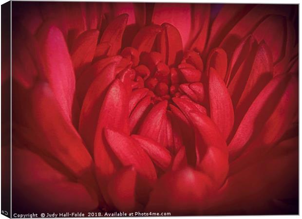 Richly Red Canvas Print by Judy Hall-Folde