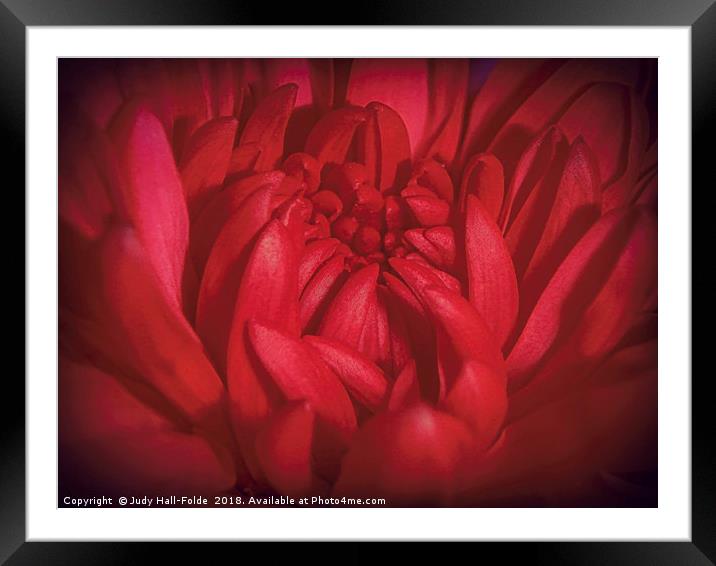 Richly Red Framed Mounted Print by Judy Hall-Folde