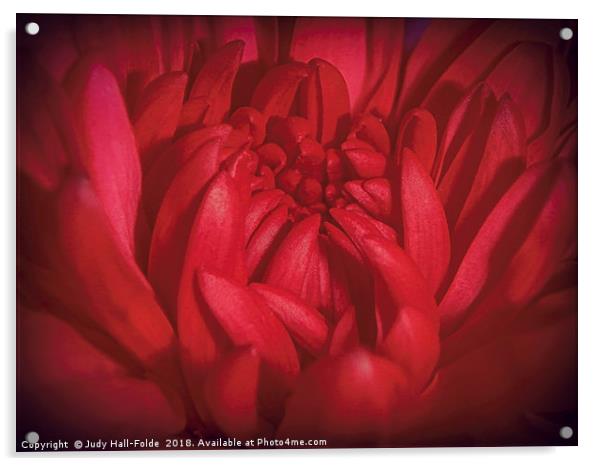 Richly Red Acrylic by Judy Hall-Folde