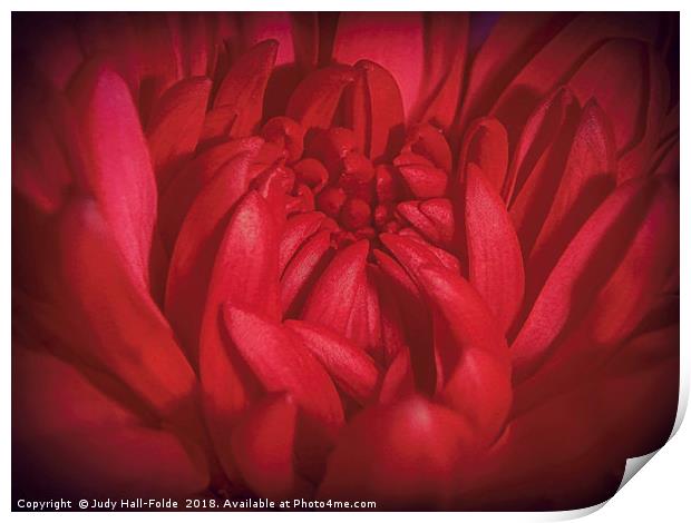 Richly Red Print by Judy Hall-Folde