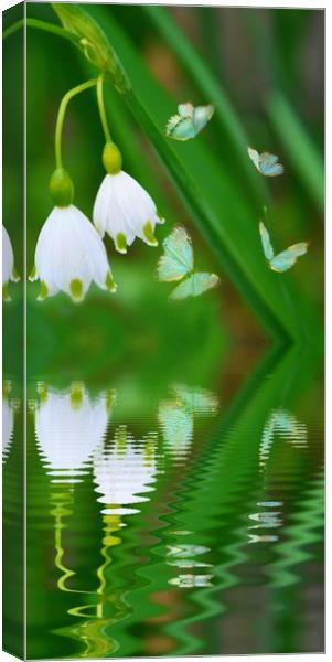 snowdrops and butterflies Canvas Print by sue davies