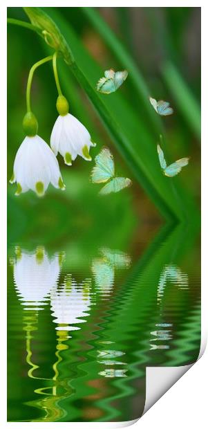 snowdrops and butterflies Print by sue davies