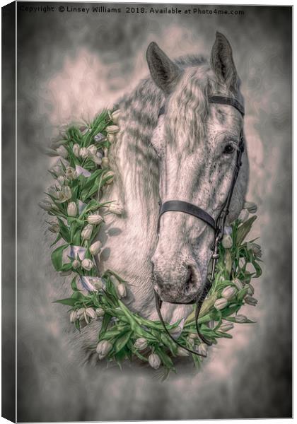 Horse 2 Canvas Print by Linsey Williams