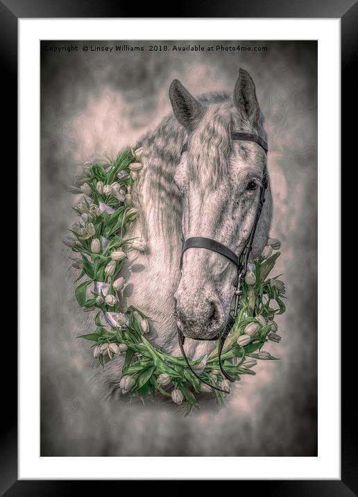 Horse 2 Framed Mounted Print by Linsey Williams