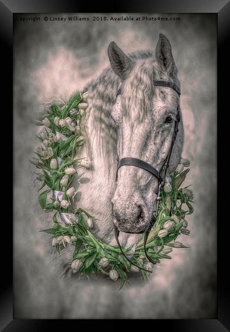Horse 2 Framed Print by Linsey Williams
