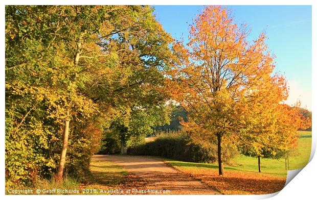 Autumn Country Lane in Hampshire  Print by Geoff Richards