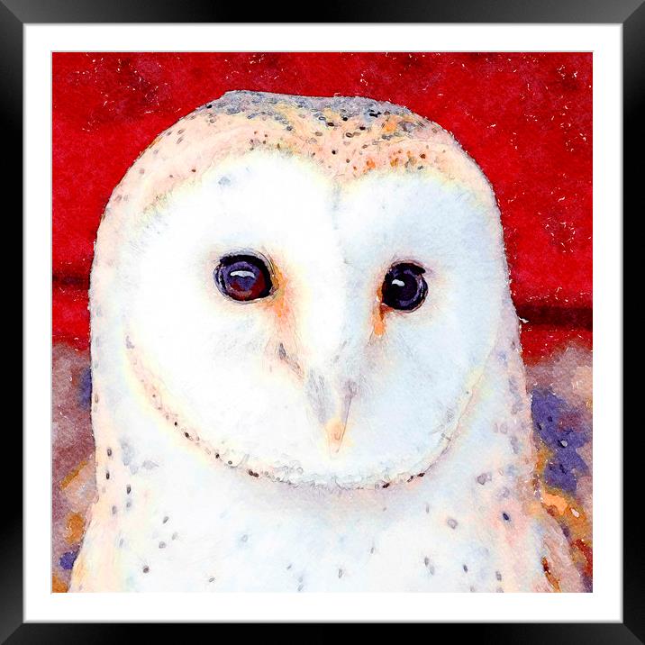 Barn Owl, Watercolour, Digital Painting Framed Mounted Print by Tanya Hall
