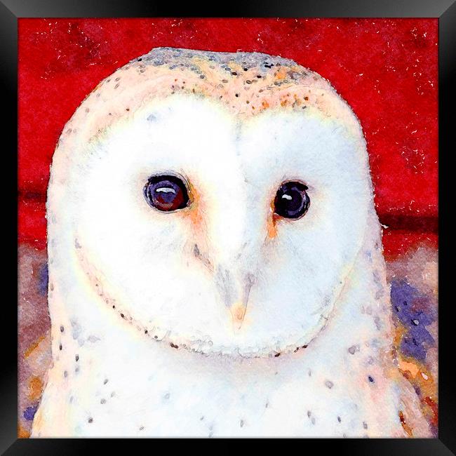 Barn Owl, Watercolour, Digital Painting Framed Print by Tanya Hall