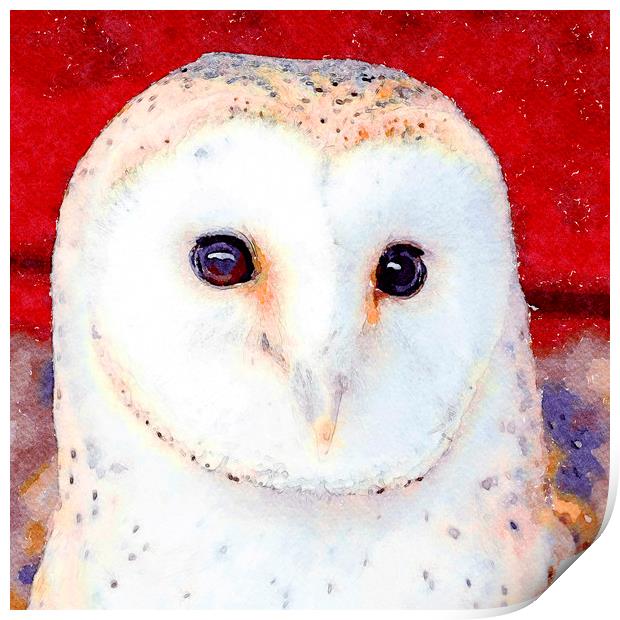 Barn Owl, Watercolour, Digital Painting Print by Tanya Hall