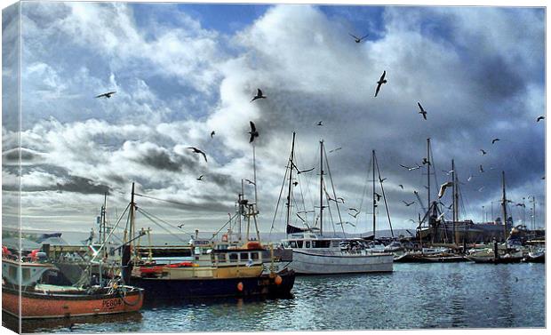 The Fleets In! Canvas Print by Pauline Simmonds