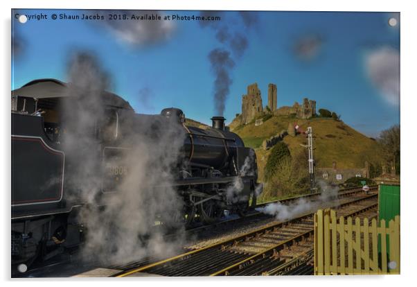 Corfe railway  Acrylic by Shaun Jacobs