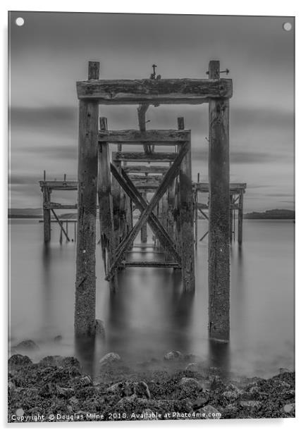 Hawkcraig Pier, Aberdour Acrylic by Douglas Milne