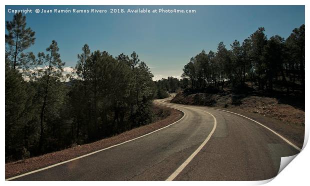 Road between trees Print by Juan Ramón Ramos Rivero