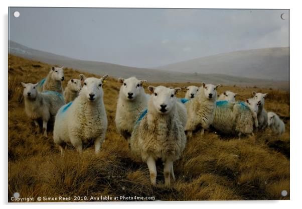                          A Very Welsh Landscape    Acrylic by Simon Rees