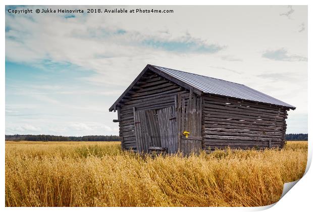 Barn House In The Middle Of The Fields Print by Jukka Heinovirta