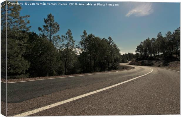 Road between pines Canvas Print by Juan Ramón Ramos Rivero