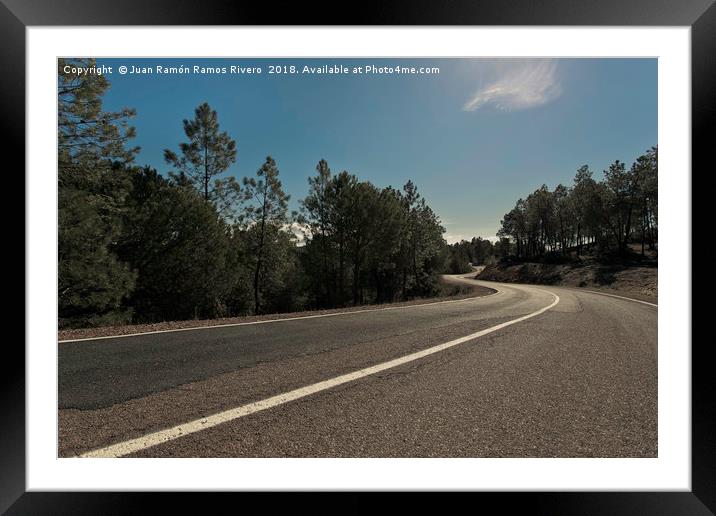 Road between pines Framed Mounted Print by Juan Ramón Ramos Rivero