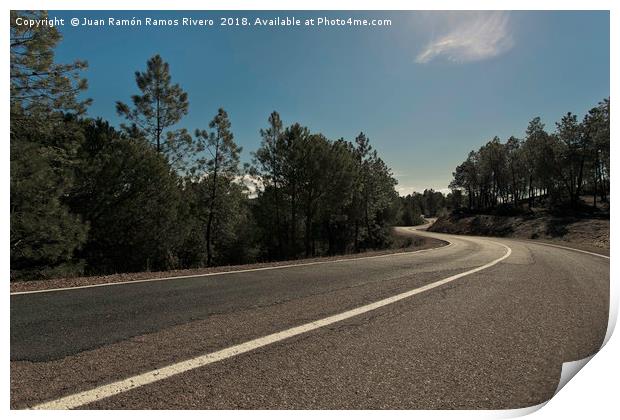 Road between pines Print by Juan Ramón Ramos Rivero