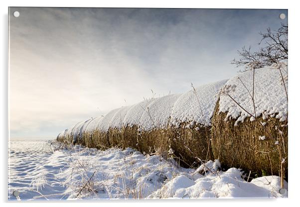 Snow bales - Norfolk Acrylic by Simon Wrigglesworth